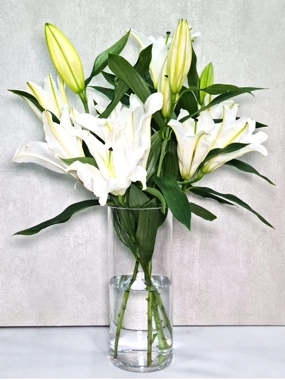 lily clear Vase 200