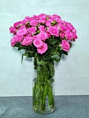 dark pink beauty 2000