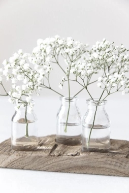 Sprig gypsophila