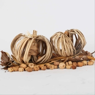 Pumpkin & Exotic Mix in Pouch - Natural
