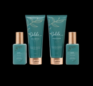 Dry package - CHIC 4
