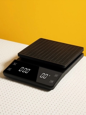 electronic scale 2