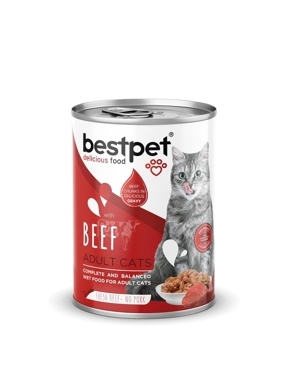 Best Pet Wet Cat Food with Beef in Gravy 400g