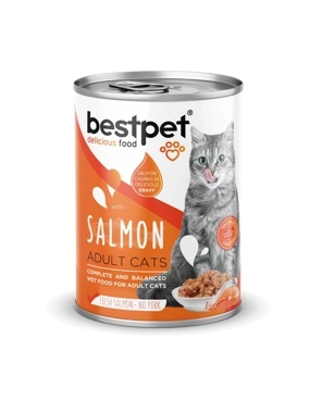 Best Pet Wet Cat Food with Salmon in Gravy 400g