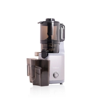 Home Elec Slow Juicer – Gray, 1000ml, 250W