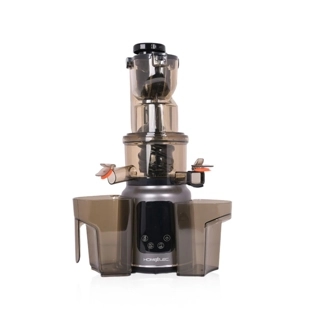 Home Elec Slow Juicer with Digital Display, 200W, Gray
