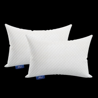 Neyam Pillow Two-piece set