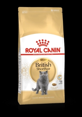 Royal Canin British shorthair (2kg)