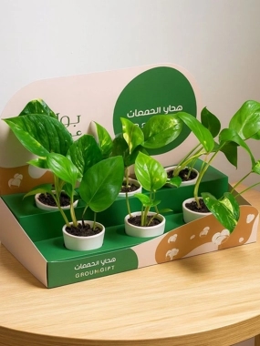Plant box