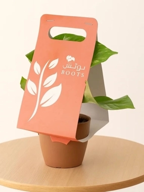 Pothos plant distributions