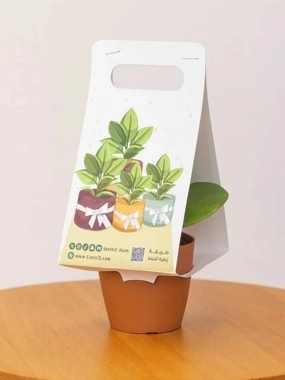 Natural Peperomia Plant Distributions