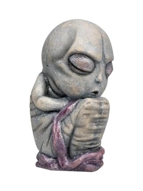 Alien Fetus