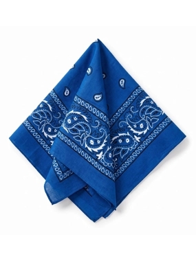 Bandana Blue