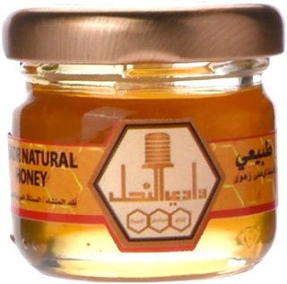 Wadi Nahal Sadr Honey 30 Gm