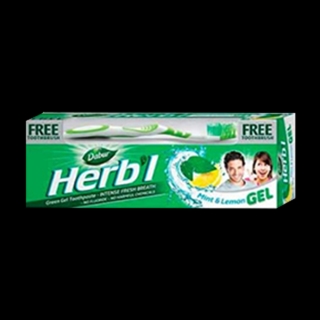Dabur Herbal Tooth Paste Fresh Gel 150 Gm