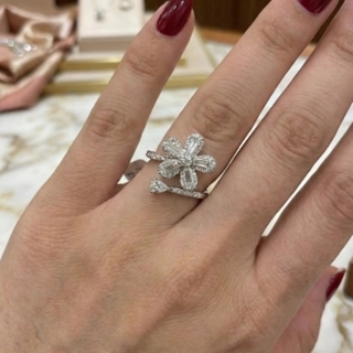 Elegant silver ring