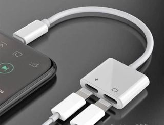 Link to two ports Lightning