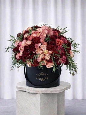 Box of Love s Dawn