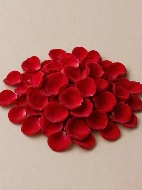 rose petals