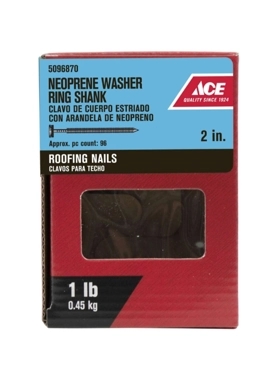 ACE ROOF NAILS W/SHANK (2)5.08CM 0.45KG