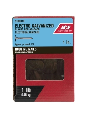 ACE ELECTRO GALV.ROOF NAIL 2.54CM(1in)