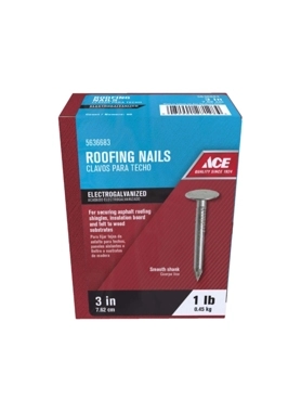 ACE ROOFING NAIL FLAT (3)7.62CM 0.45KG