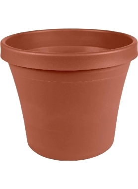 BLOEM TERRA COTTA PLANTER 20.32 CM