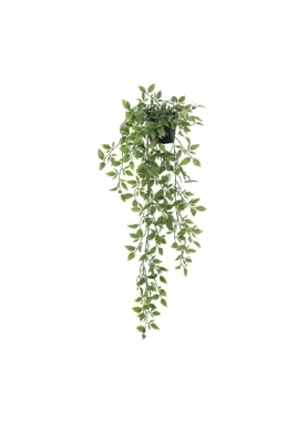 SERENE SERENE HANGING GREEN LEAF PLANT
