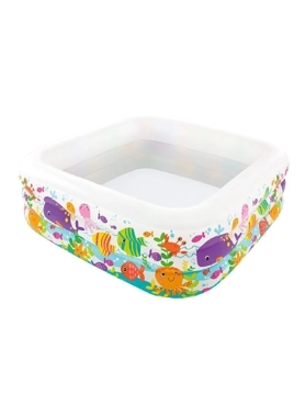 INTEX INFLATABLE POOL CENTER CLEARVIEW