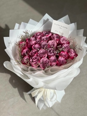 Mauve Package