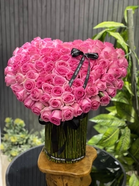 Rose of love