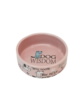Ceramic food bowl for pets with cartoon designs
