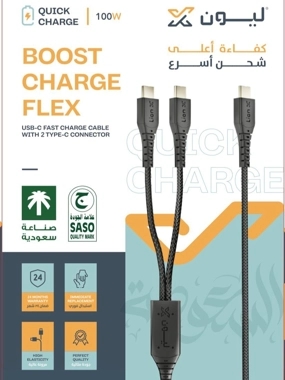 Lion X 2-in-1 Cable – USB-C to USB-C, 1.2 meters, supports 100W.