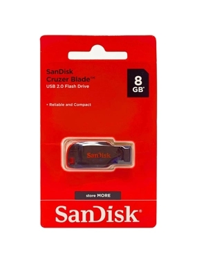 SanDisk 8GB flash memory