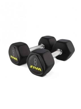 ZIVA SL Premium Hexagon Virgin Rubber Dumbbells
