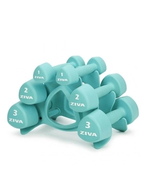 ZIVA Studio Dumbbells 12kg Set (1, 2, 3kg pairs) turquoise