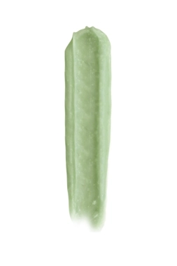 PASTELLAB. LIP+ RENEWAL SCRUB MINT
