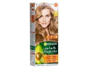 GARNIER CN CREME HAIR DYE
