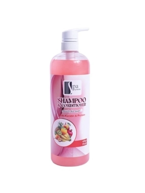 SPA SYSTEM SHM&COND FRUIT