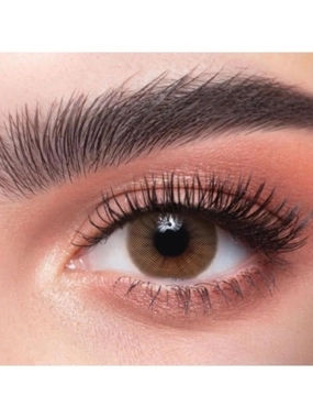 ZAHAB DAILY CONTACT LENSES