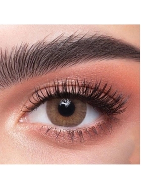 ZAHAB DAILY CONTACT LENSES
