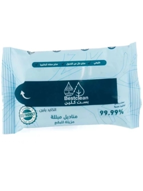 BEST CLEAN WET WIPES FOR STAIN REMOVAL