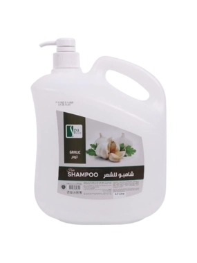 SPA SYSTEM SHM GARLIC