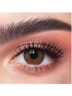 ZAHAB DAILY CONTACT LENSES