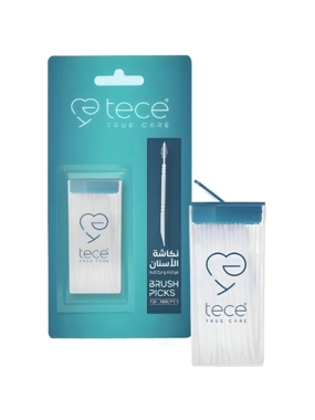 TC dental flosser with brush
