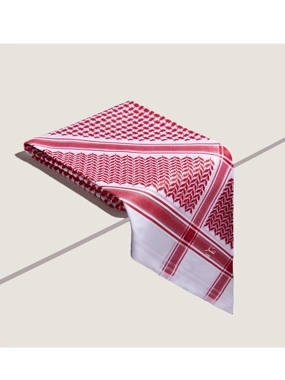 Shamagh desar shababy