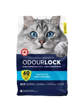 intersand Odourlock Unscented 12kg