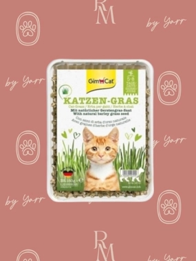 Gimcat katzen grass 150g