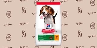 Hill's puppy M dry food chicken