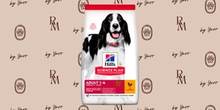 Hill's dry food for adult medium dogs with chicken